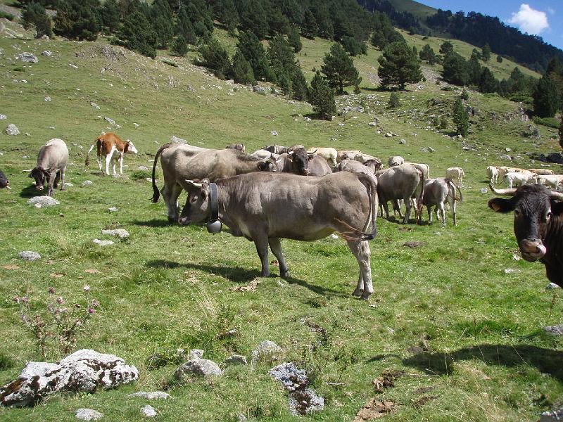 Pyrenees 2011 063.jpg